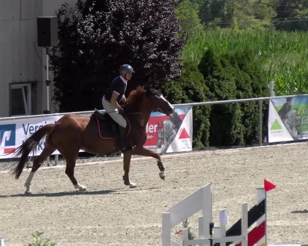 Reitturnier Ehningen 2022