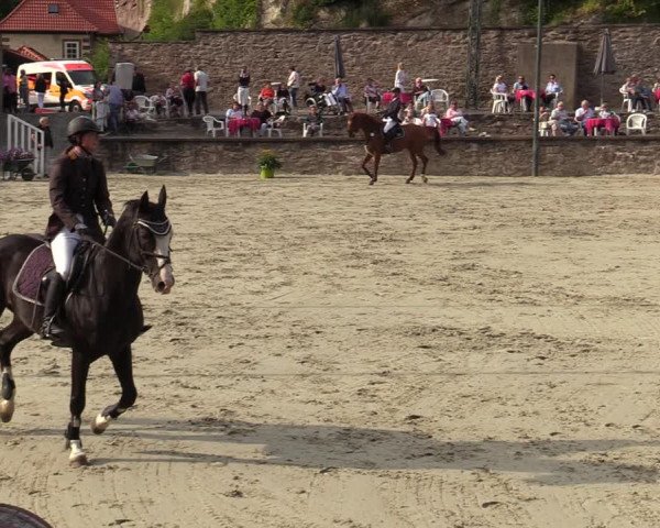 Reitturnier Nörten-Hardenberg 2022