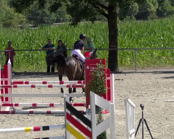 Reitturnier Ehningen 2022