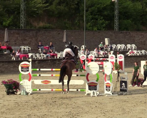 Reitturnier Nörten-Hardenberg 2022
