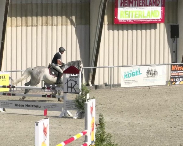 Reitturnier Ehningen 2022