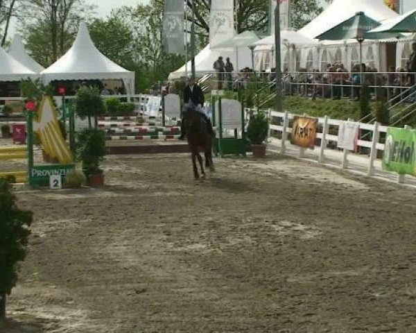 Springpferd Bailando 4 (Hannoveraner, 1994, von Brentano II)