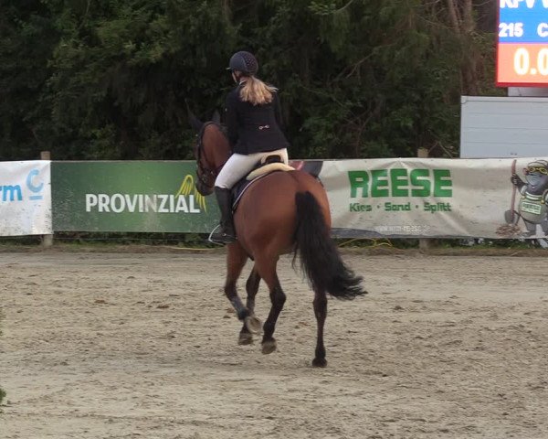 Reitturnier Vlotho-Exter 2022