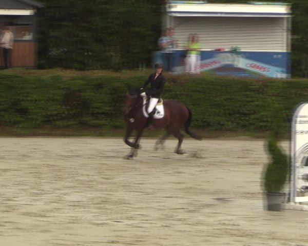 Reitturnier Vlotho-Exter 2022