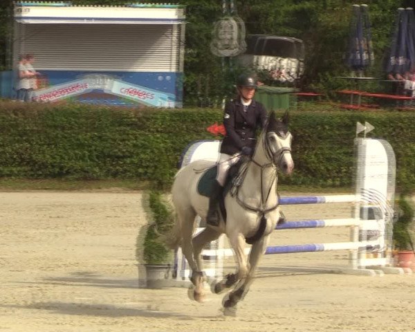 Reitturnier Vlotho-Exter 2022