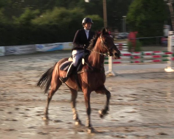 Reitturnier Herbern 2022