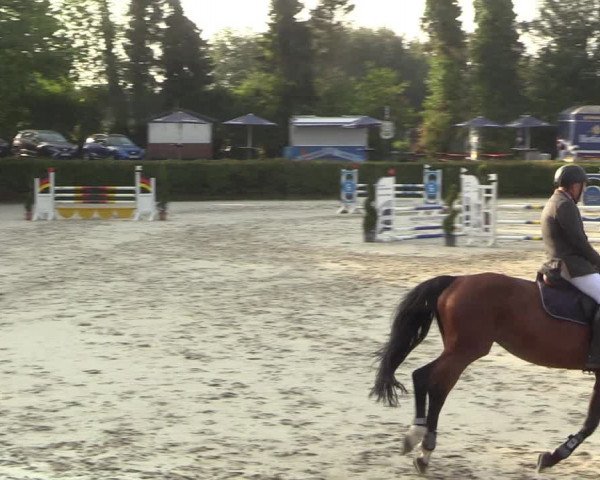 Reitturnier Vlotho-Exter 2022