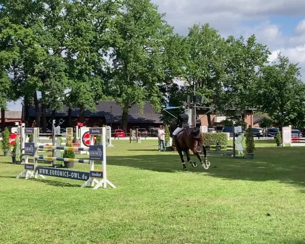 Video of Cross Shannondale