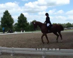 horse Geilomat (unknown,  )