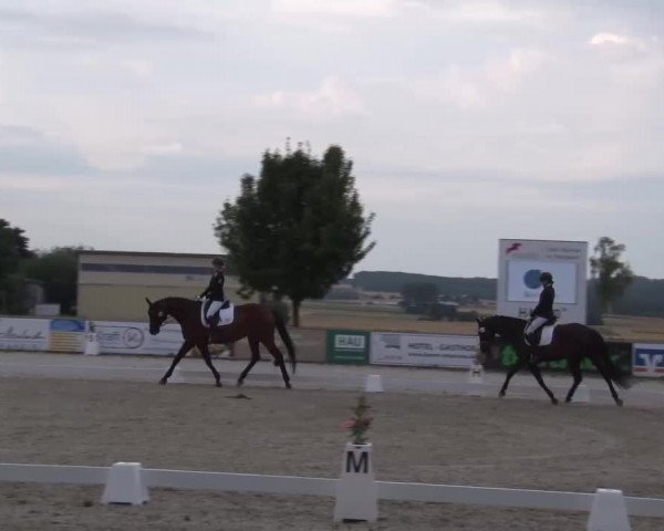Reitturnier Rot am See- Musdorf 2022