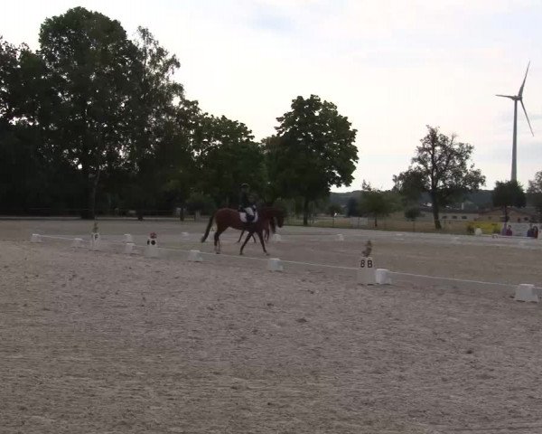 Reitturnier Rot am See- Musdorf 2022