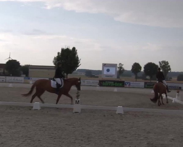 Reitturnier Rot am See- Musdorf 2022