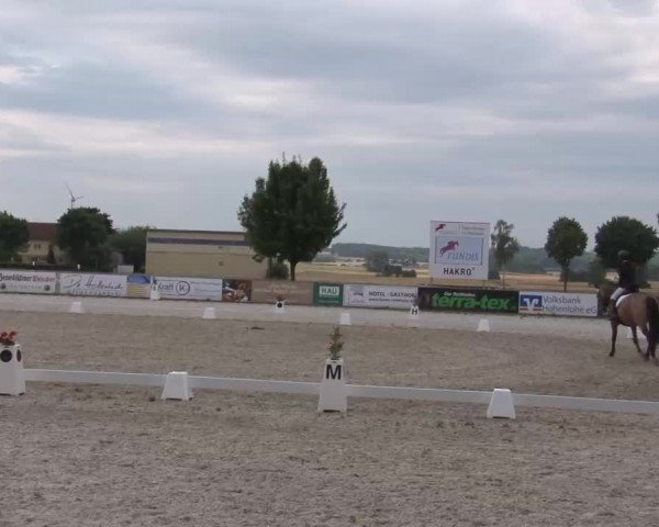 Reitturnier Rot am See- Musdorf 2022