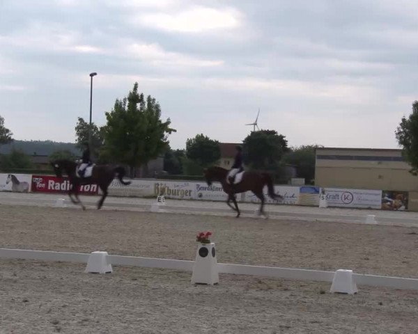 Reitturnier Rot am See- Musdorf 2022