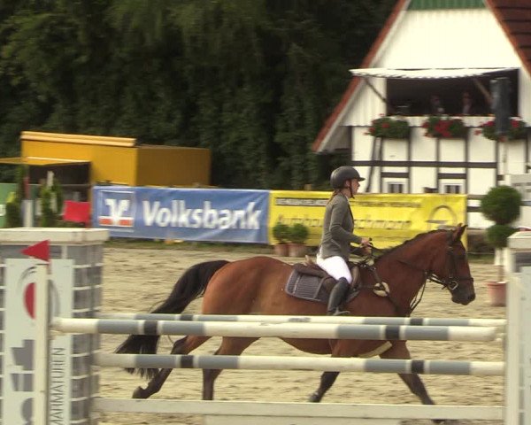 Reitturnier Vlotho-Exter 2022