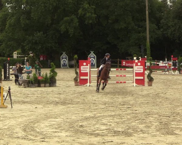 Reitturnier Vlotho-Exter 2022