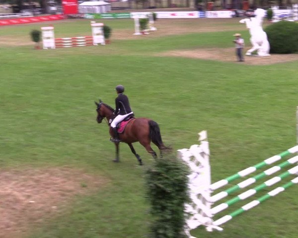 Reitturnier Cottbus-Sielow 2022