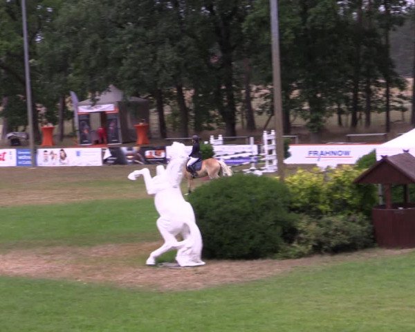 Reitturnier Cottbus-Sielow 2022