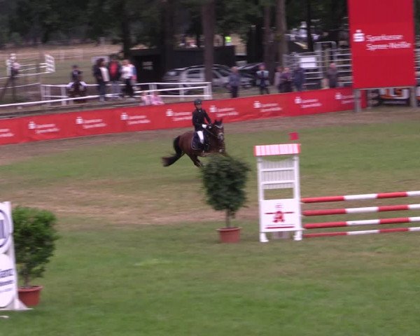 Reitturnier Cottbus-Sielow 2022