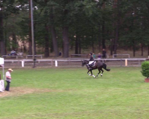 Reitturnier Cottbus-Sielow 2022
