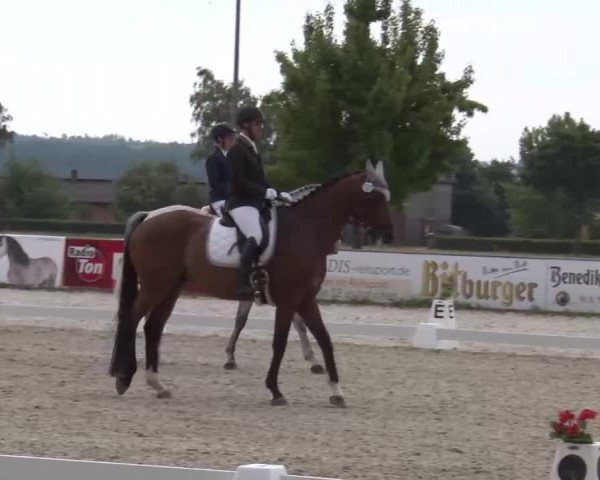 Reitturnier Rot am See- Musdorf 2022
