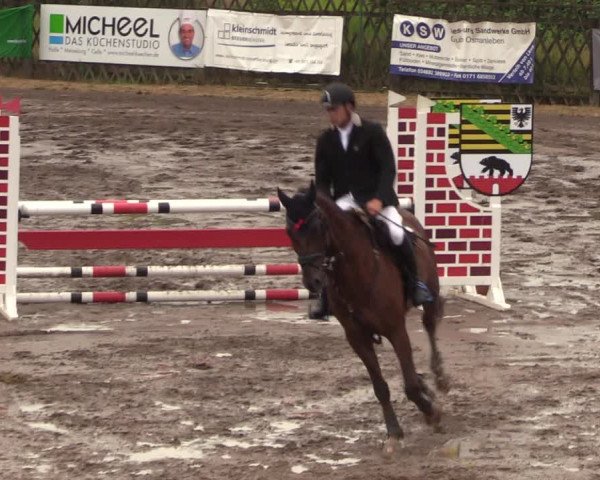 Reitturnier Halle-Seeben 2022