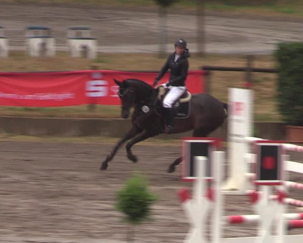 Reitturnier Halle-Seeben 2022