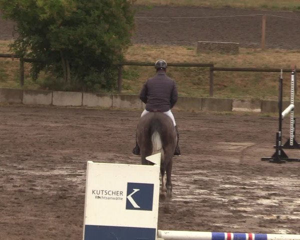 Reitturnier Halle-Seeben 2022