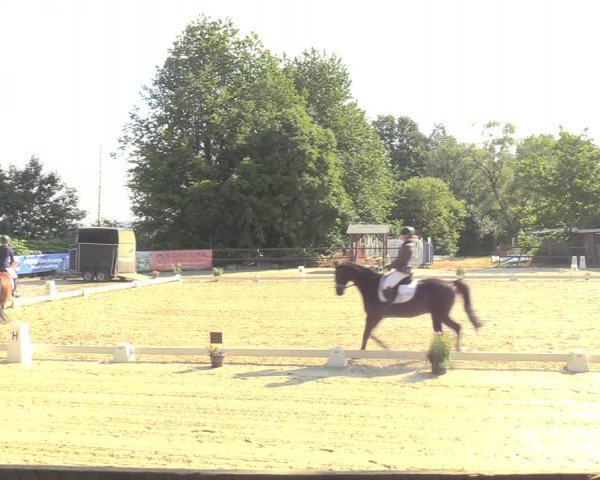 Reitturnier Marienheide-Kempershöhe 2022
