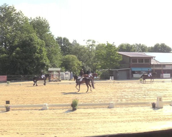 Reitturnier Marienheide-Kempershöhe 2022