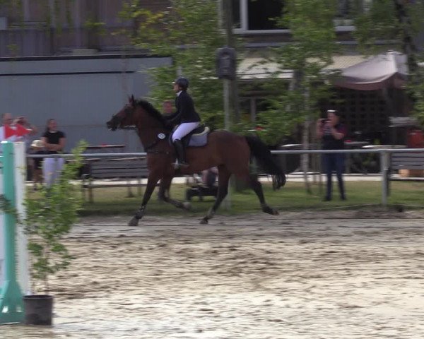 Reitturnier Herbern 2022