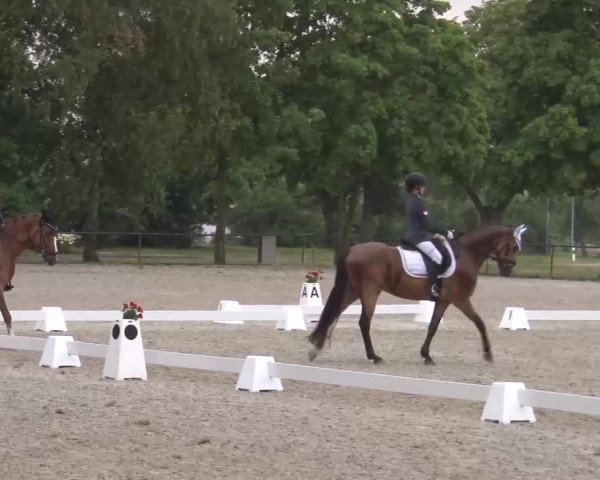 Reitturnier Rot am See- Musdorf 2022