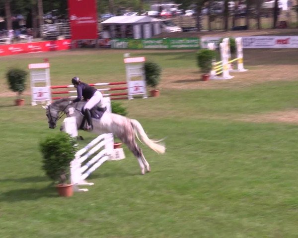 Reitturnier Cottbus-Sielow 2022