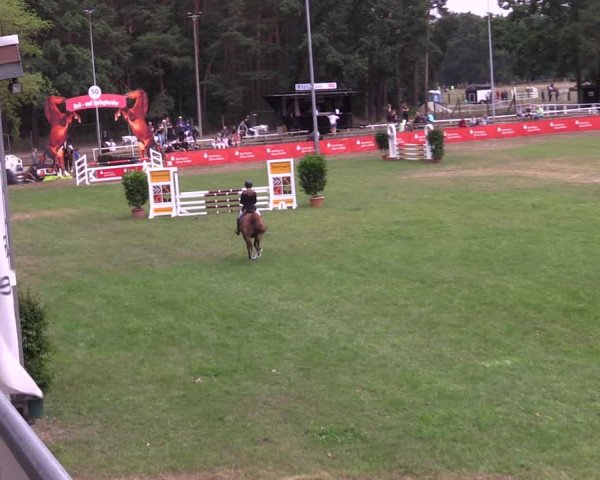 Reitturnier Cottbus-Sielow 2022