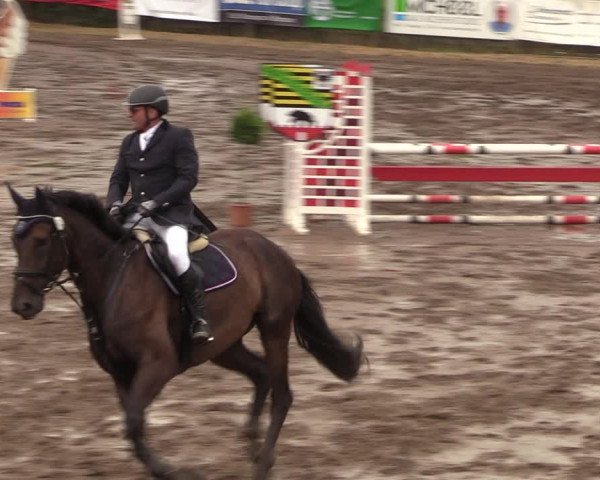 Reitturnier Halle-Seeben 2022