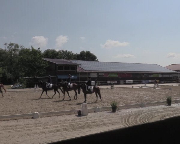 Reitturnier Marienheide-Kempershöhe 2022