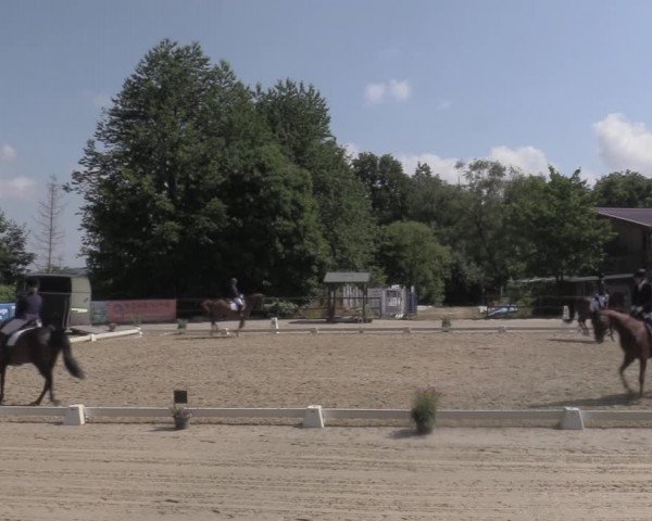 Reitturnier Marienheide-Kempershöhe 2022