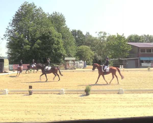 Reitturnier Marienheide-Kempershöhe 2022