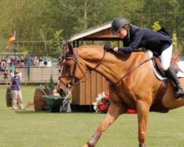 jumper Zeke (Oldenburg, 1997, from Zeus)