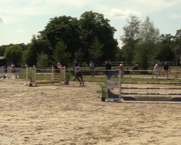 Reitturnier Herbern 2022
