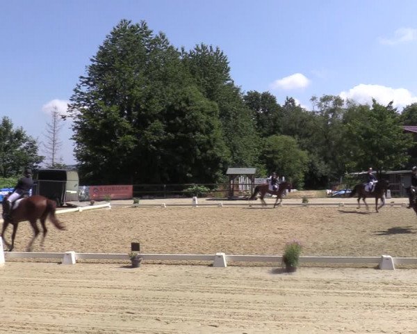 Reitturnier Marienheide-Kempershöhe 2022