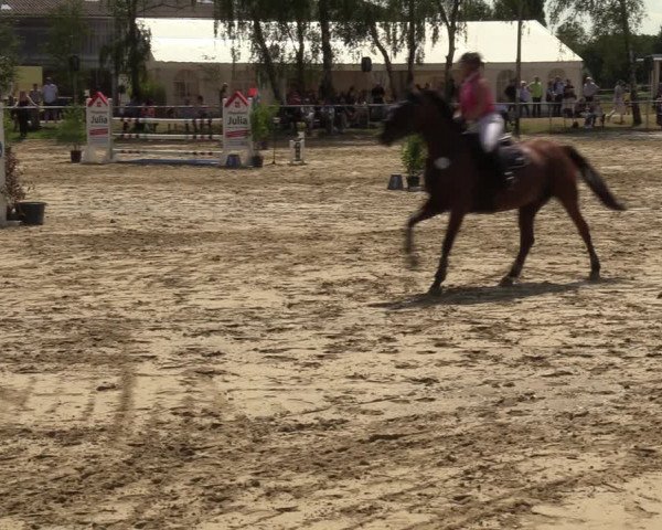 Reitturnier Herbern 2022