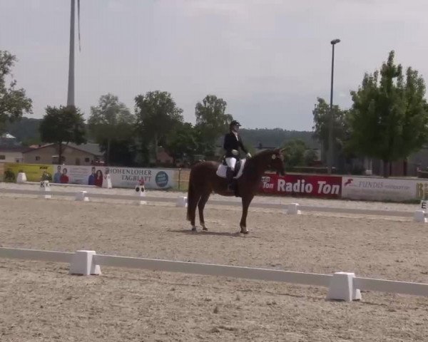 Reitturnier Rot am See- Musdorf 2022