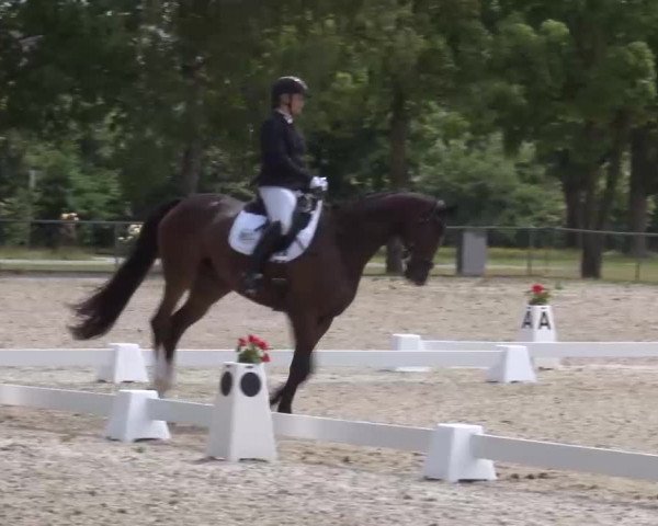 Reitturnier Rot am See- Musdorf 2022