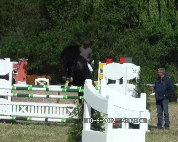 broodmare Escada (Hanoverian, 1998, from Escudo II)