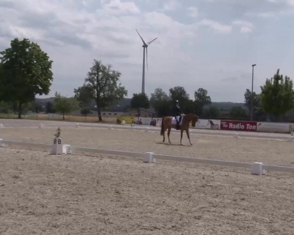 Reitturnier Rot am See- Musdorf 2022