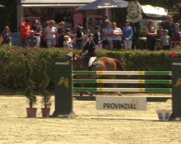 Reitturnier Vlotho-Exter 2022
