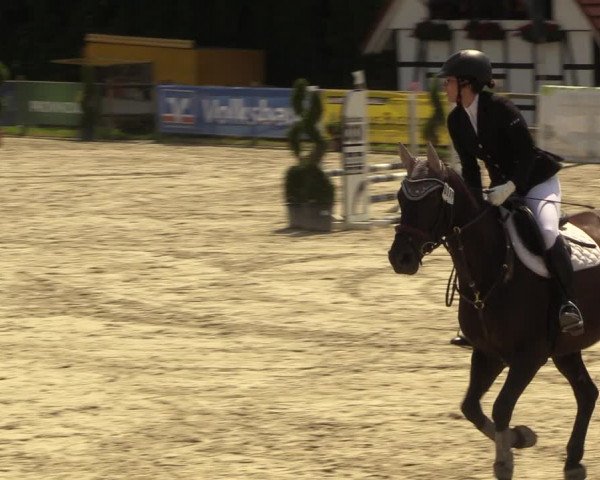 Reitturnier Vlotho-Exter 2022