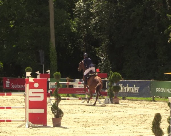 Reitturnier Vlotho-Exter 2022
