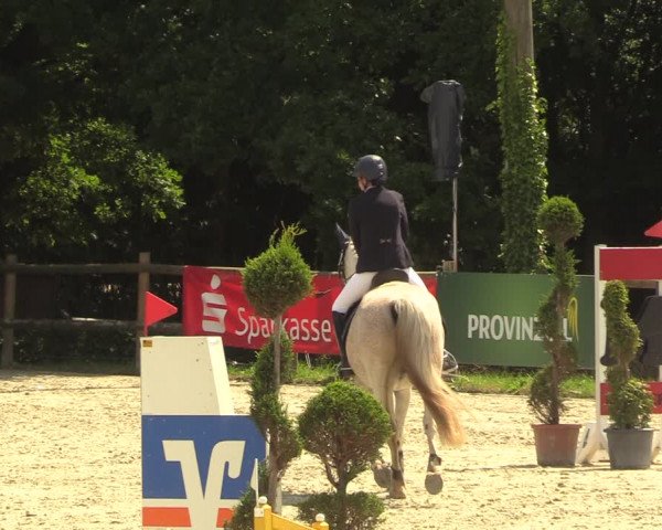 Reitturnier Vlotho-Exter 2022
